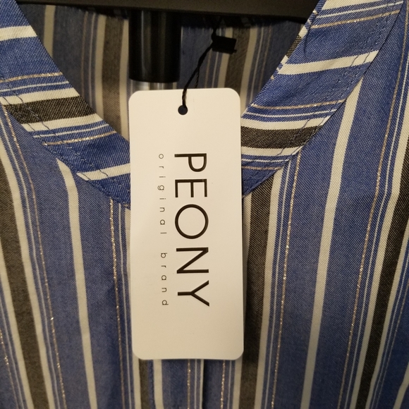 Peony dress 3XL stripes with metallic highlight NWT - Picture 4 of 5